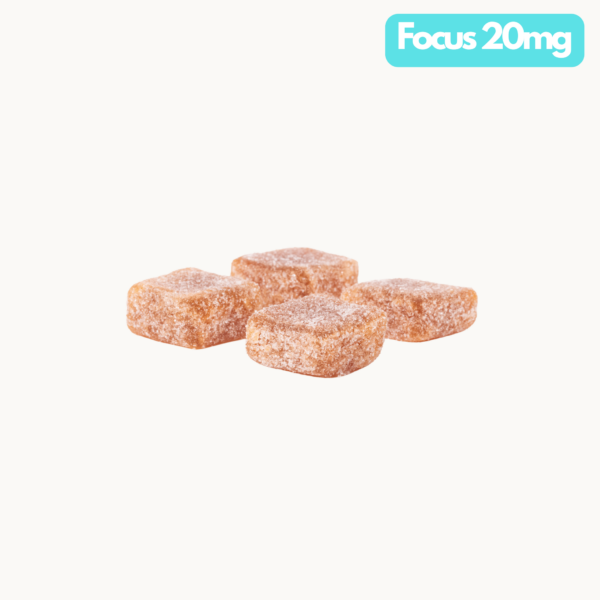 Focus 20mg