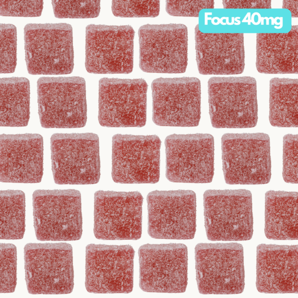 Focus 40 - Image 3