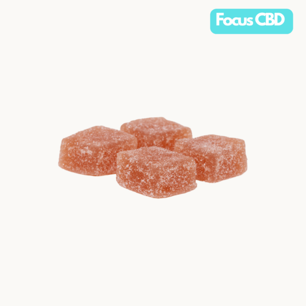 CBD Focus