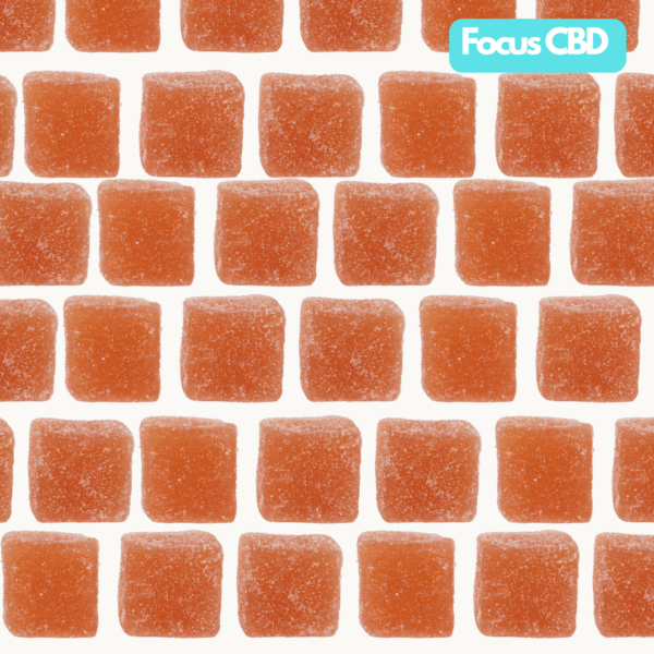 CBD Focus - Image 3
